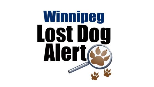 Winnipeg Lost Dog Alert